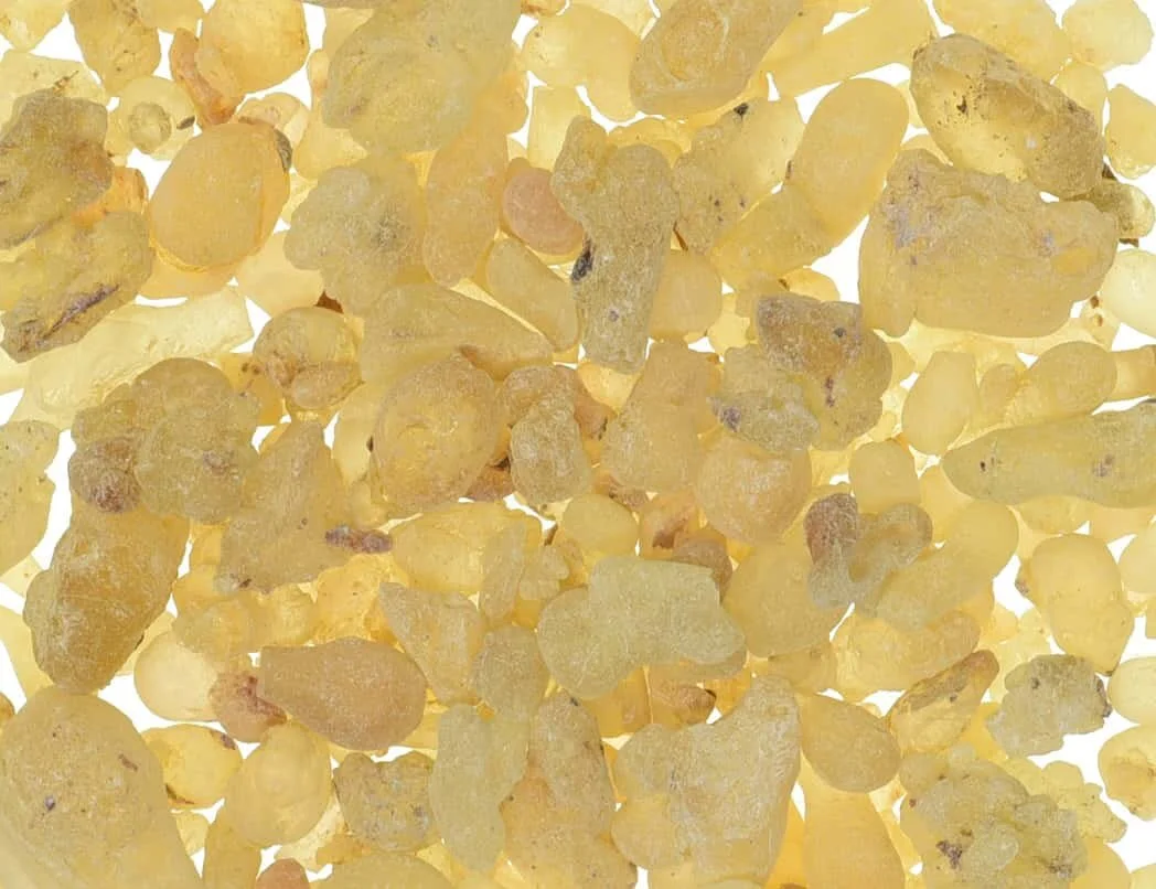 Frankincense Tears Resin Organic Vancouver Herbal Tea Incense Zoom.jpg