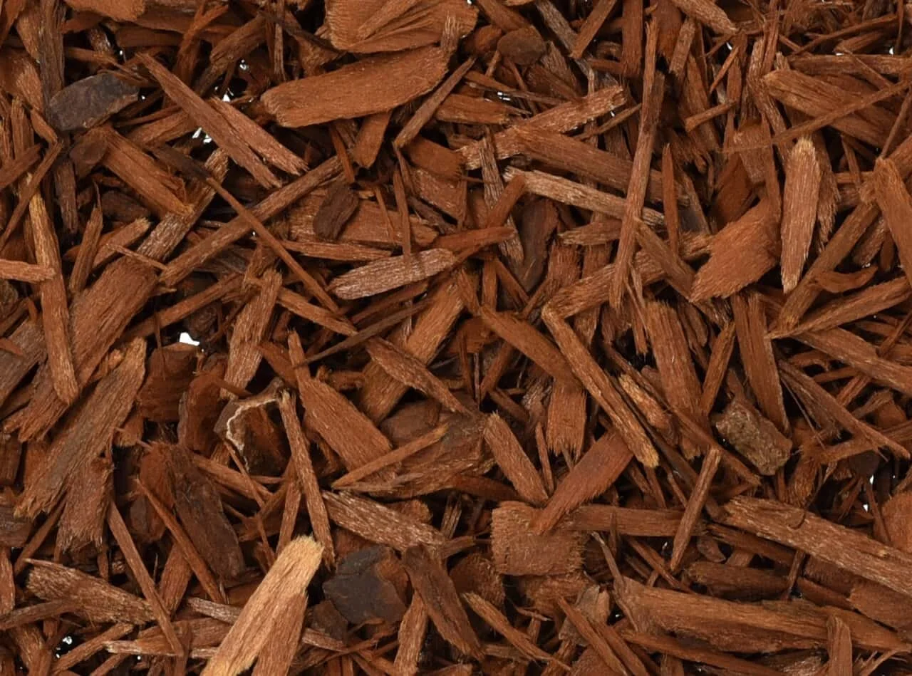 Yohimbe Bark — Zhi Herbals
