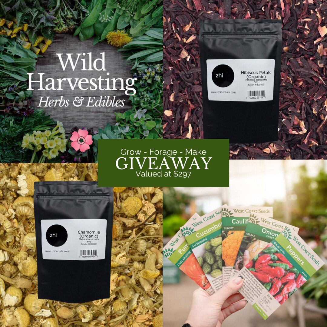 Let&rsquo;s get growing, foraging and making this February!

It&rsquo;s time to start thinking about garden 2024, and the wild foraging and medicine making for the spring season. Our latest giveaway is jammed full with spring essentials to get you pl