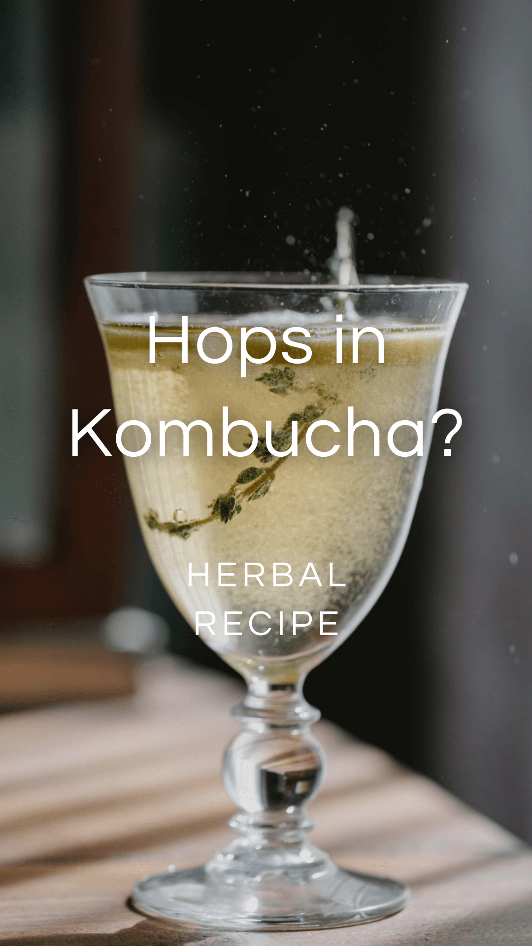 Grapefruit Hops Kombucha Recipe — Zhi Herbals