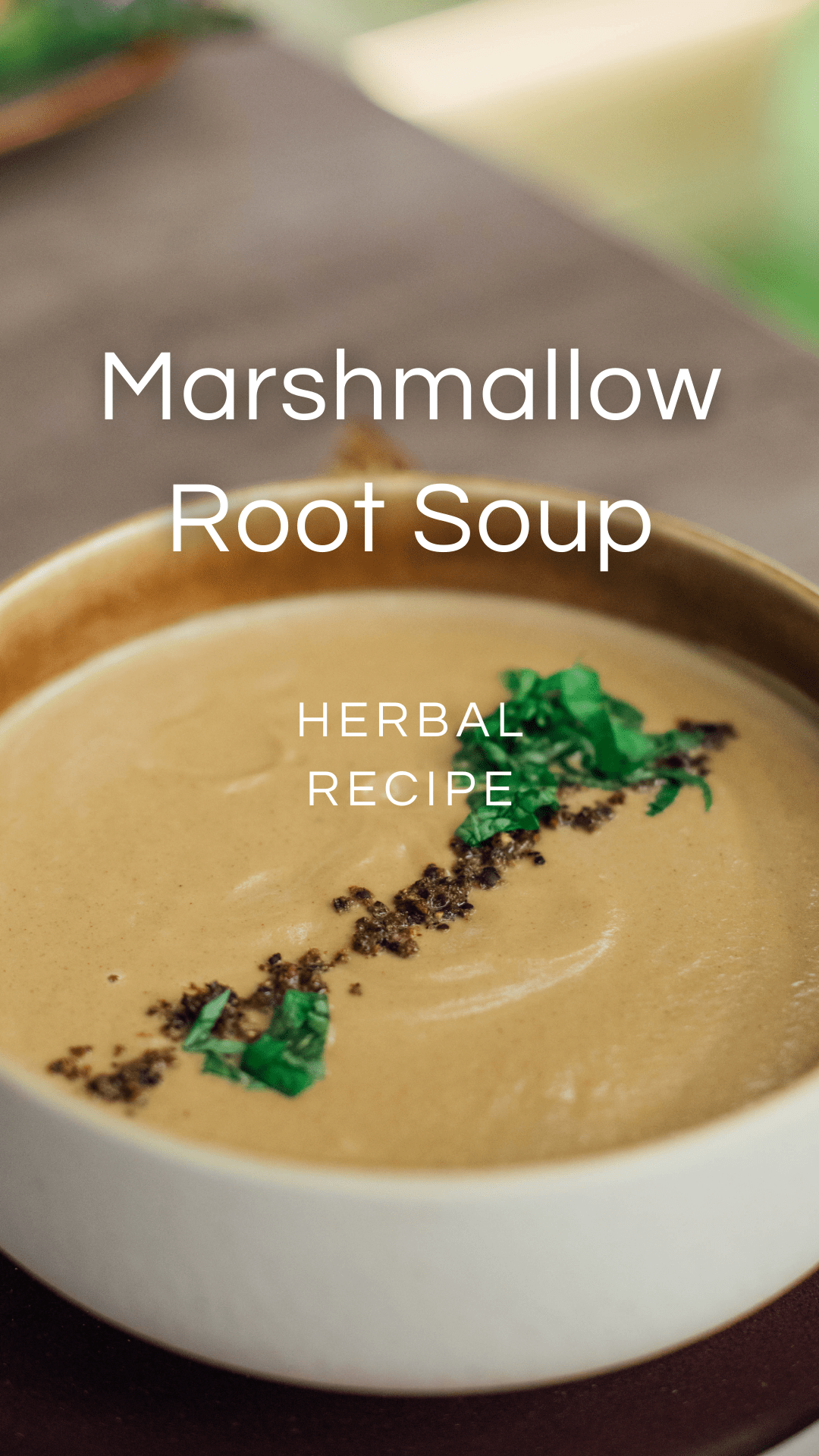 Marshmallow Soup Recipe — Zhi Herbals