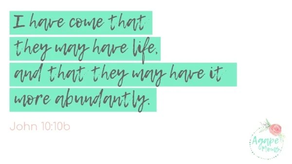 John 10 I have come that they may have life, and that they may have it more abundantly..jpg