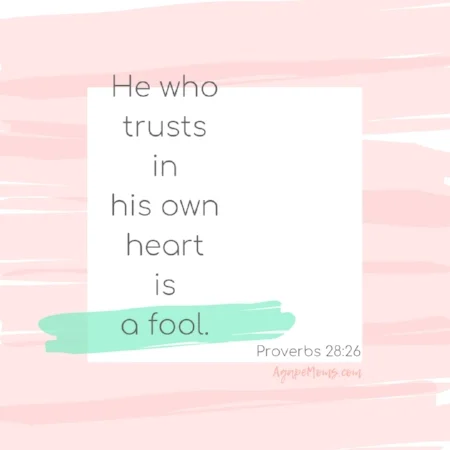 He who trusts in his own heart is a fool.jpg