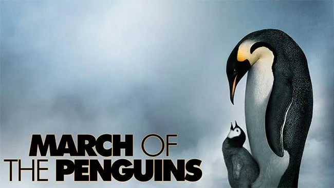 march-penguins_documentary.jpg