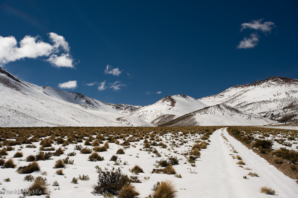 DSC_8197.jpg