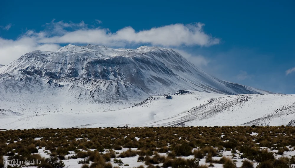 DSC_8239.jpg