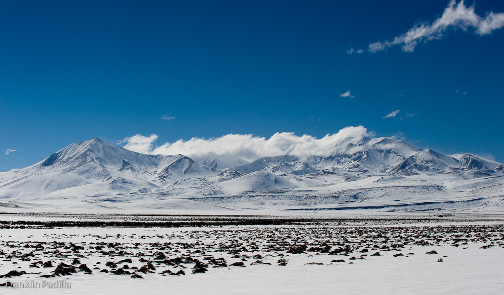 DSC_8270.jpg