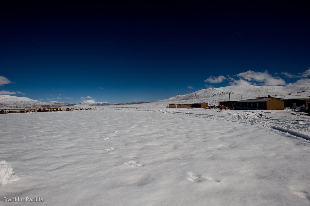 DSC_8302.jpg