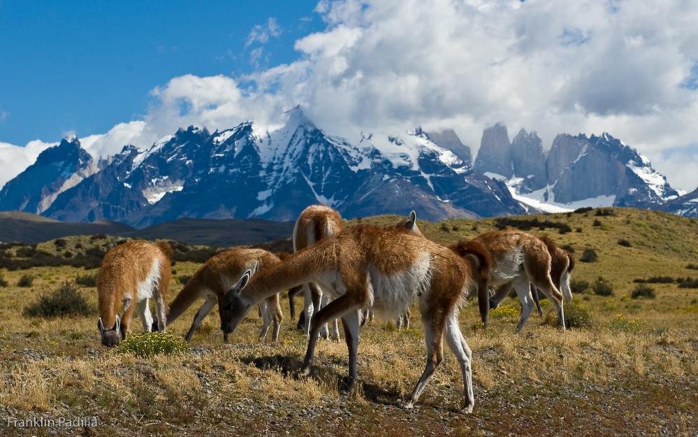 _DSC1702_48.jpg