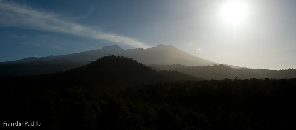DSC_3308.jpg
