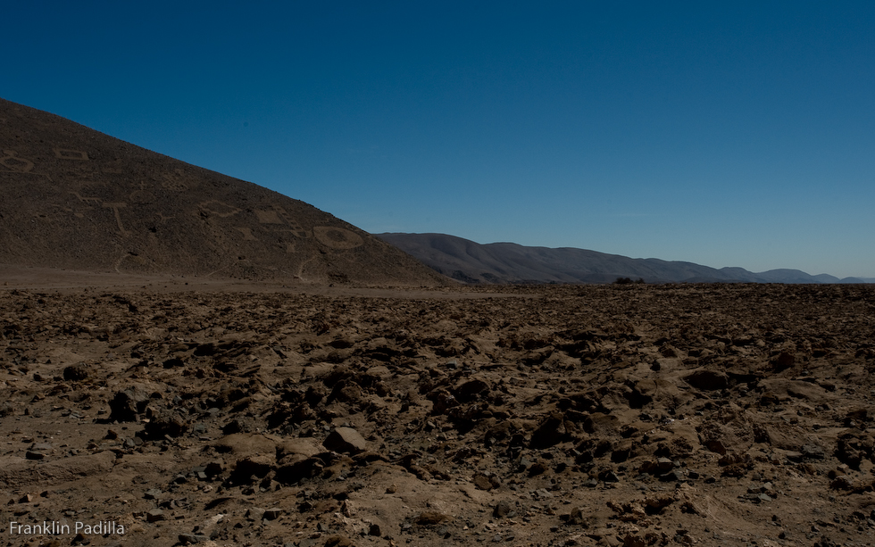 DSC_4761.jpg