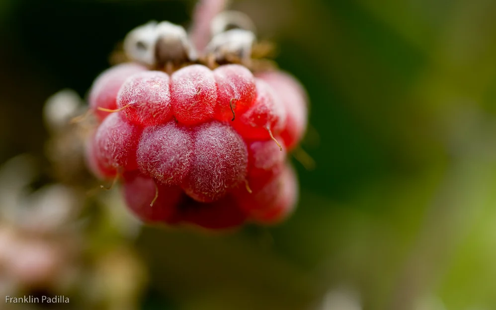 _DSC3305_121.jpg