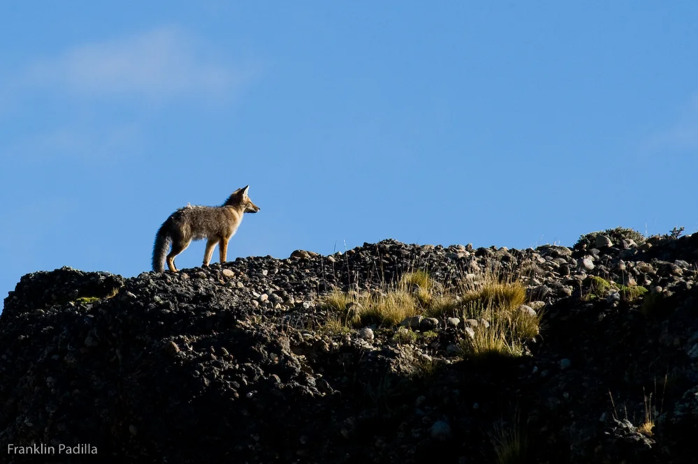 _DSC2071_53.jpg