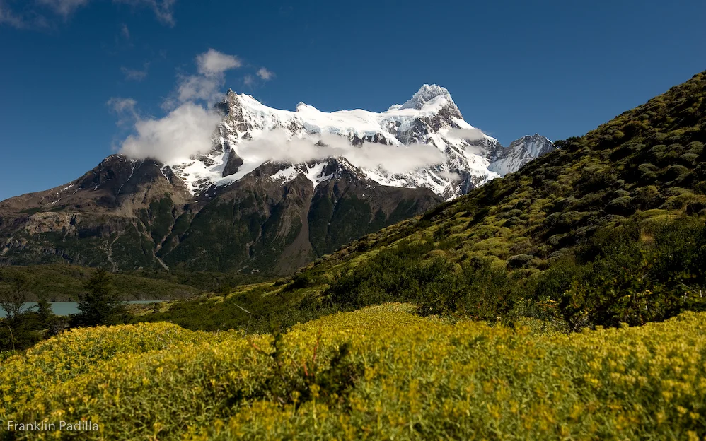 _DSC2120_83.jpg
