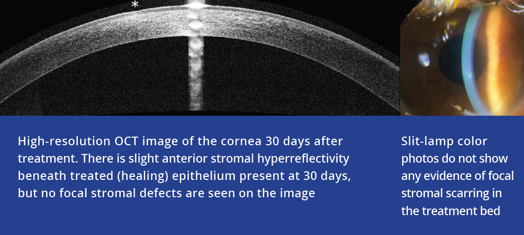 fig 8 with caption.PNG