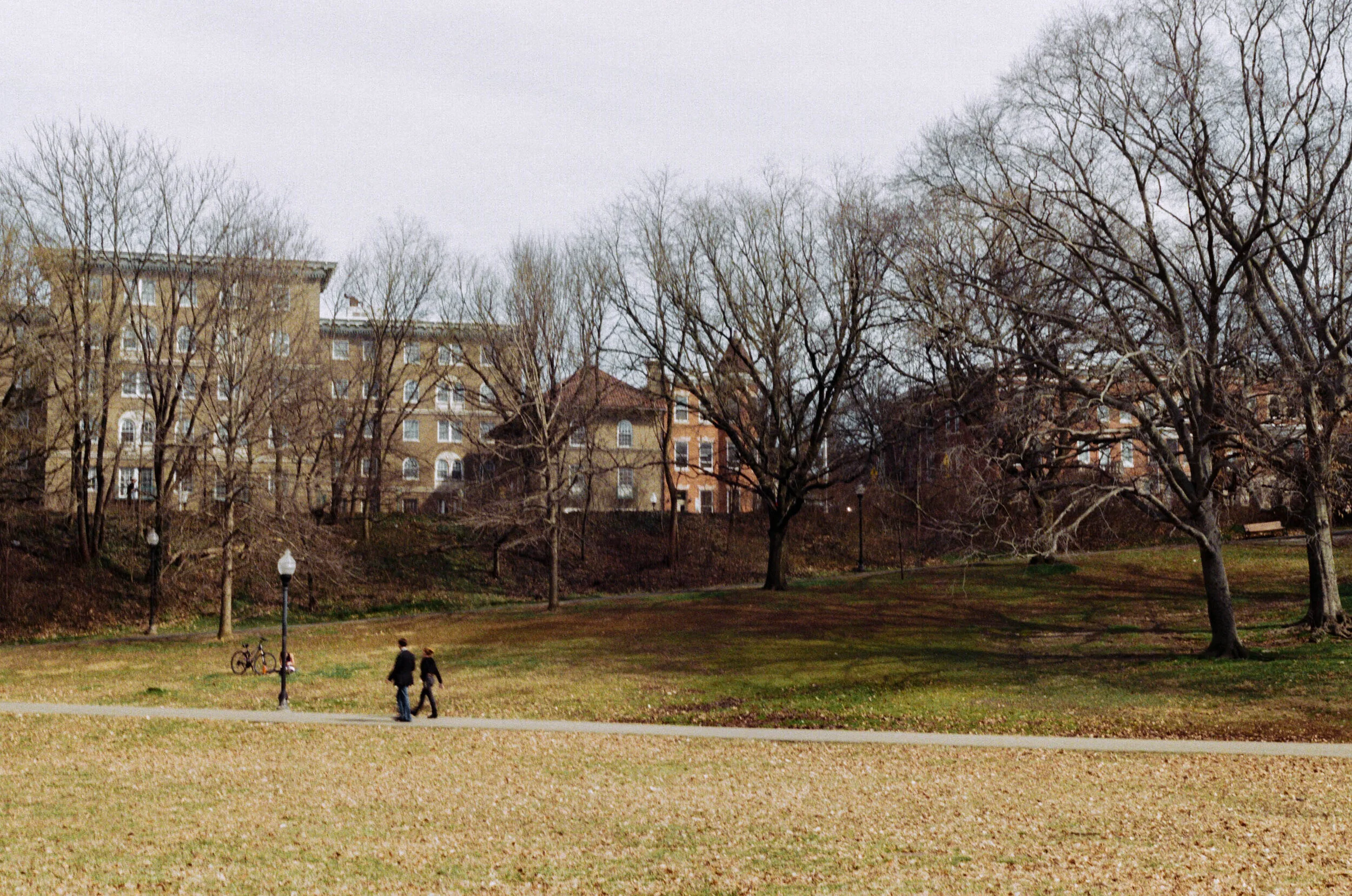 untitled-10.jpg