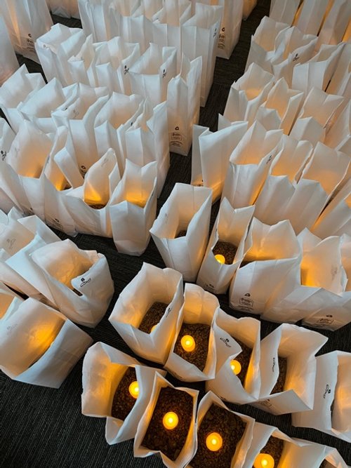 Grace Chapel Partners with NSNA for Luminaria Display