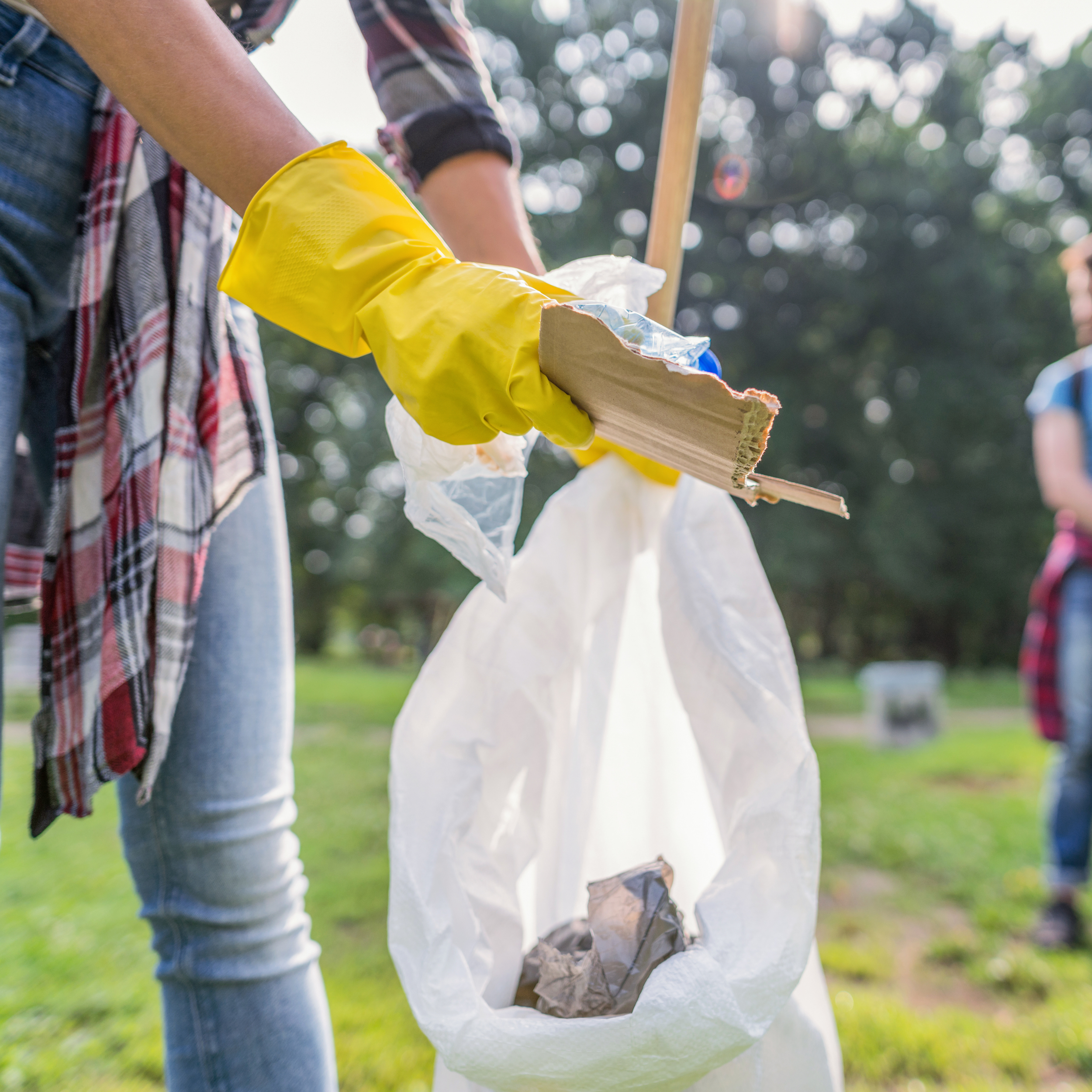 Spring Cleanup