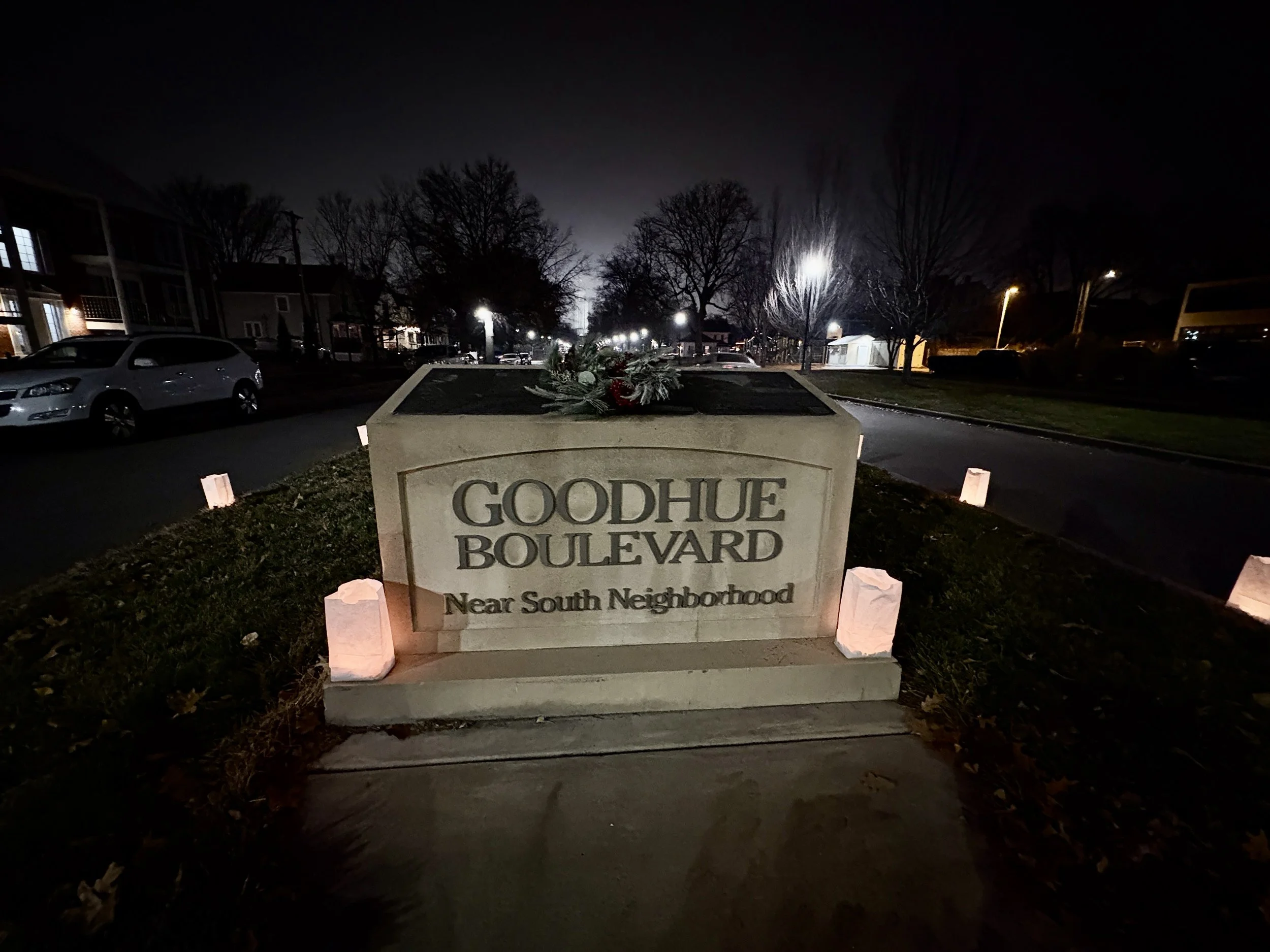 Goodhue Boulevard trees are safe