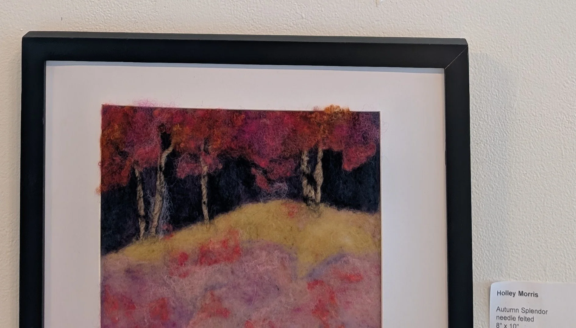 PXL_20260211_200650192.MP b landscape.jpg