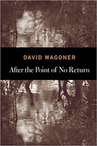 After the Point of No Return by David Wagoner.jpg