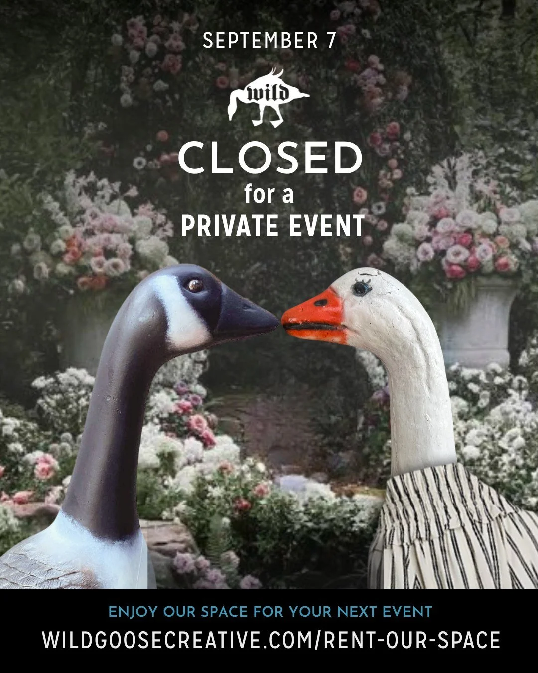 ✨This Week at the Goose...

📸 Sunday &ndash; CLOSED for a Private Event&hellip; but rumors are swirling. 🥂
🖌️ Monday &ndash; Bring your sketchbook and your vibes &ndash; Figure Art is back and as inspiring as ever. Pencils up at 7 PM!
🖼️ Friday (