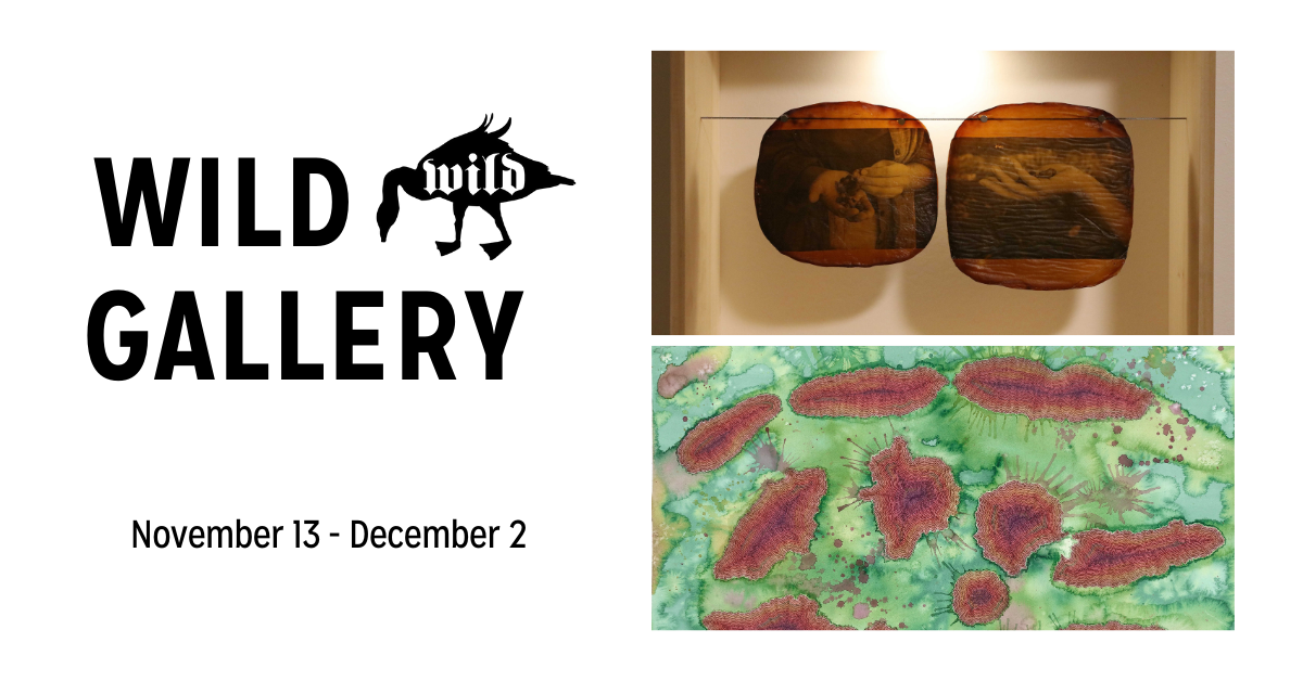 November Wild Gallery