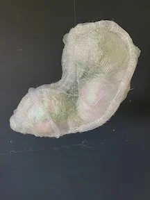 4-Dreaming Forward.jpeg