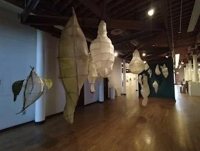 1-Etherial Floatoids.jpeg