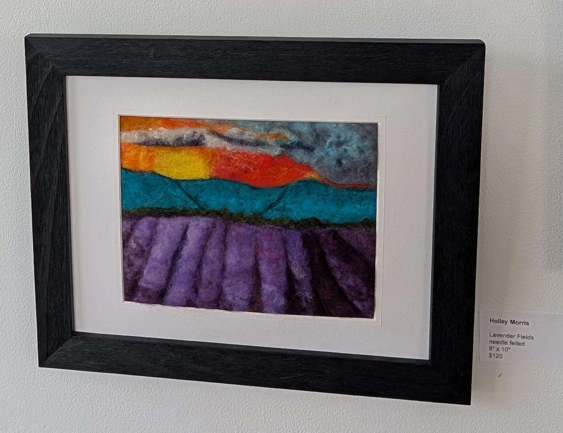 PXL_20260211_200509890.MP bootom b.jpg