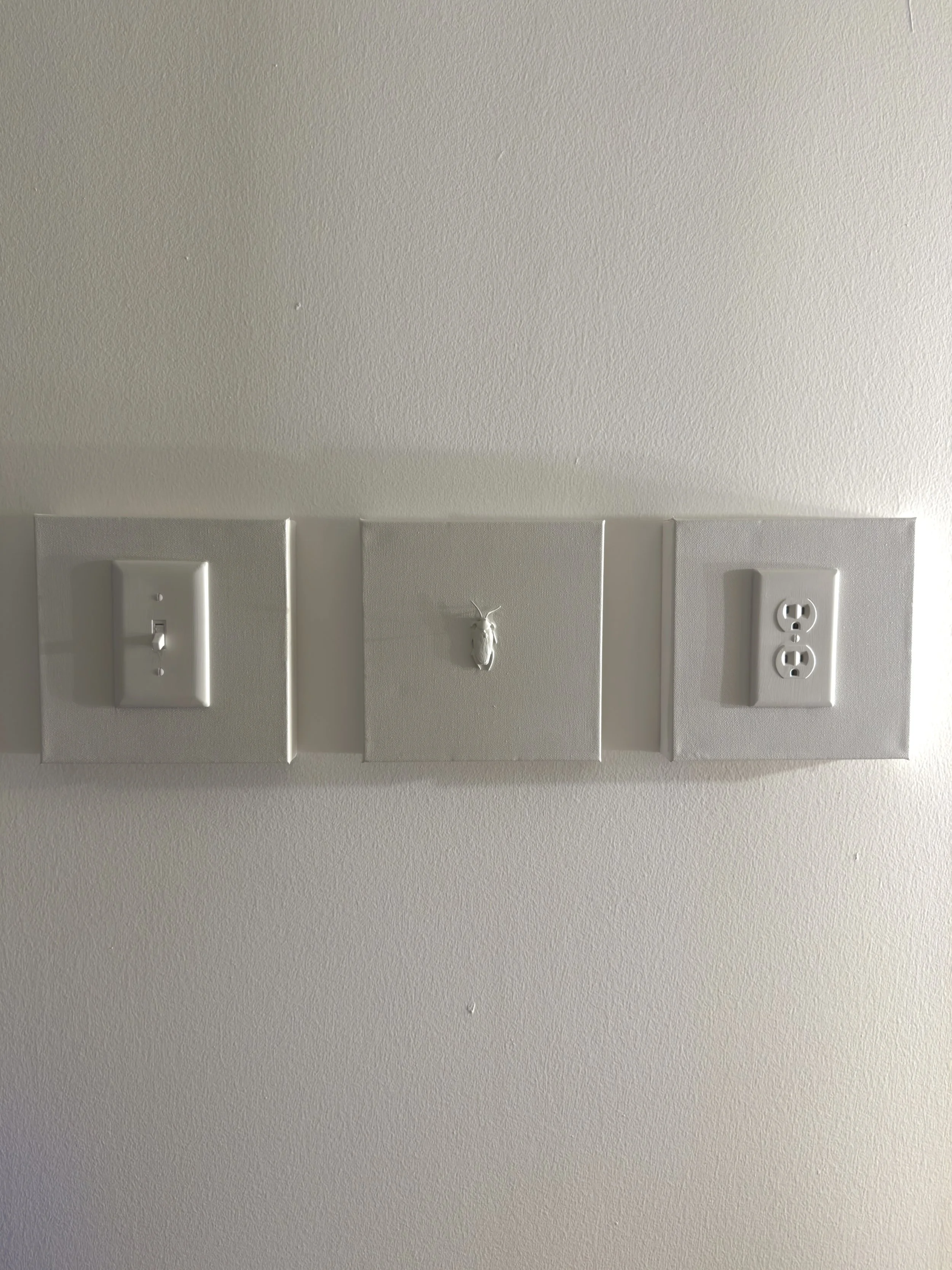 Brandon Stevens - The Landlord Special