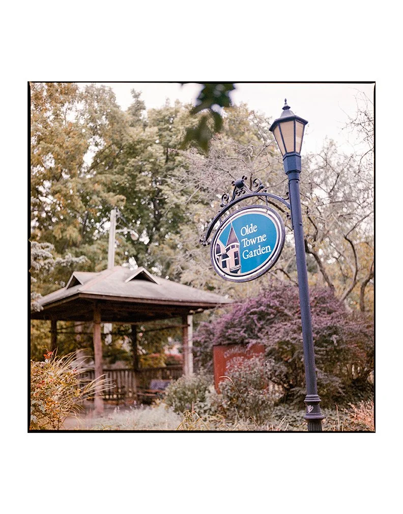 O'Brien - Signs of Life, Signs of Us.jpg