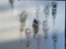 11-Rising Together.jpeg