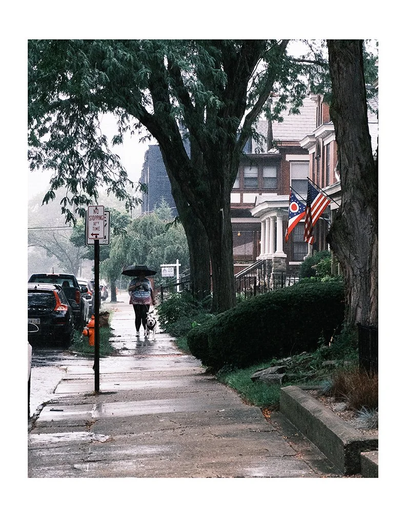 Sheldon - Brydon Road.jpg