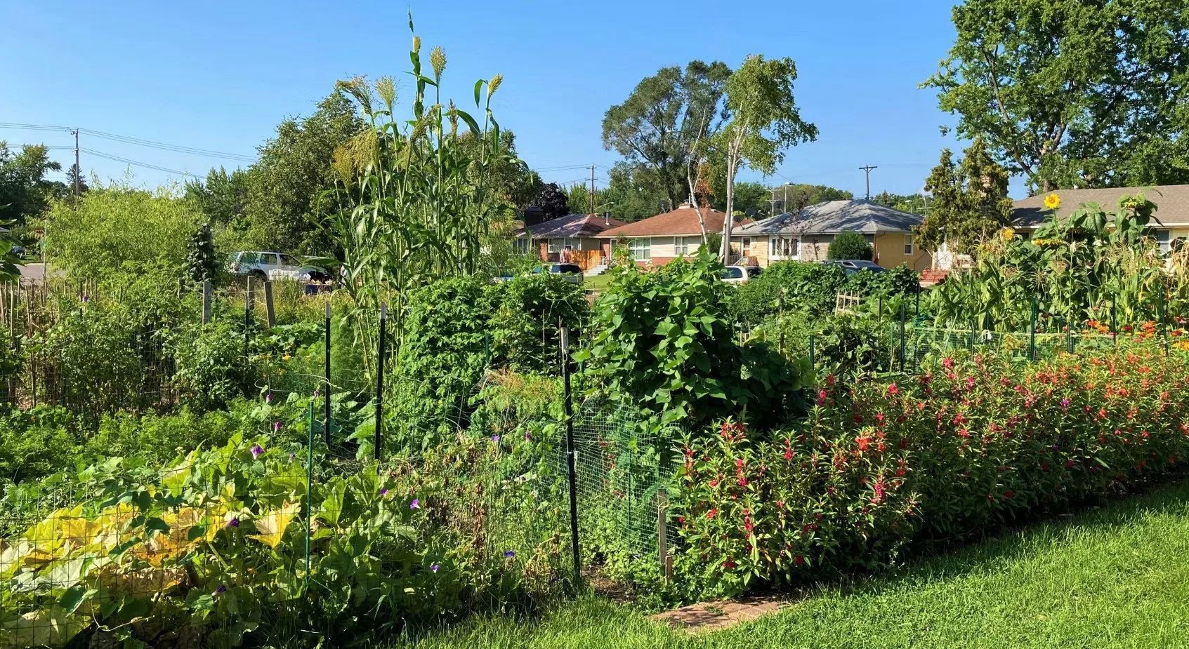 Apply now for a spot in the community garden