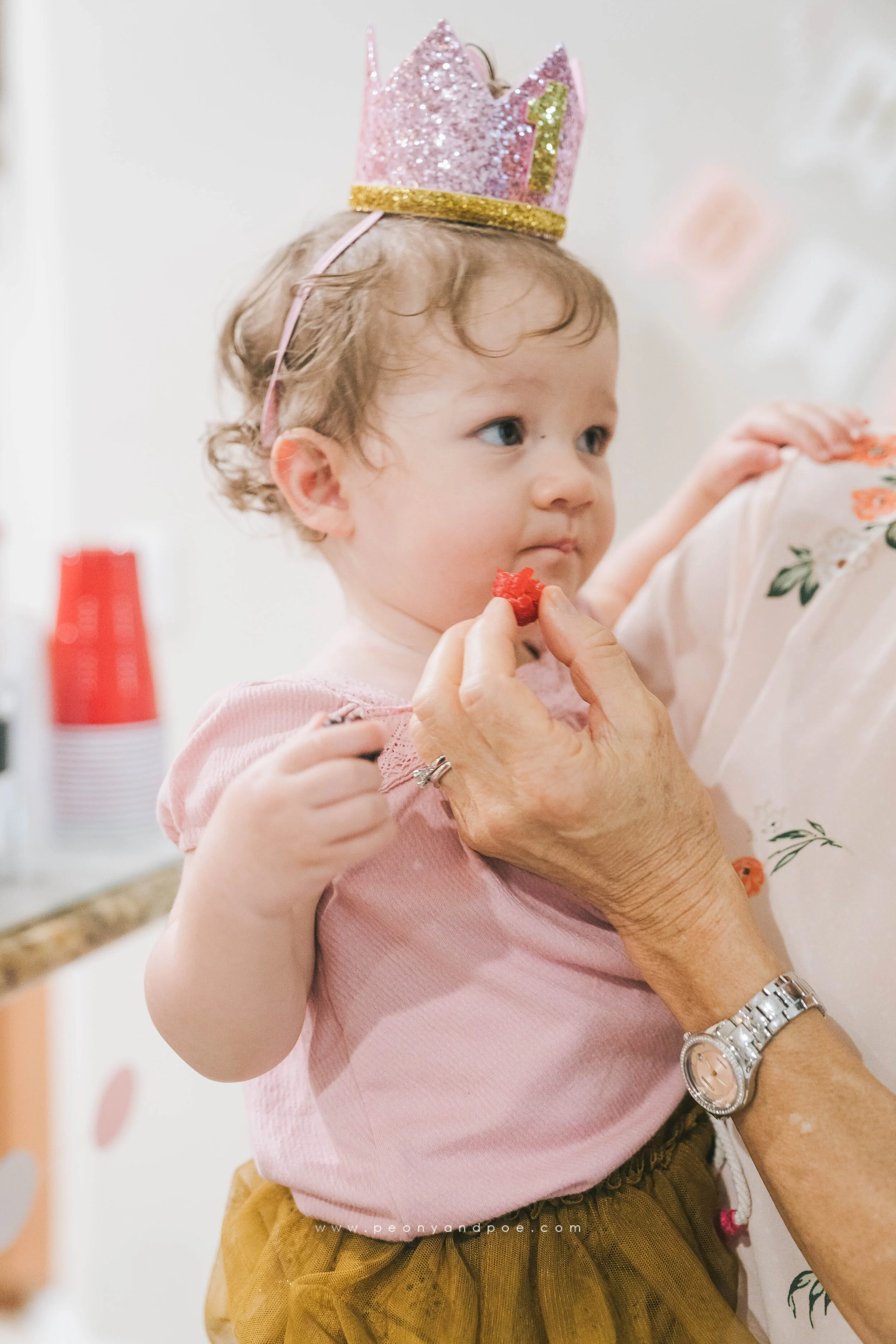 Ava's 1st Birthday