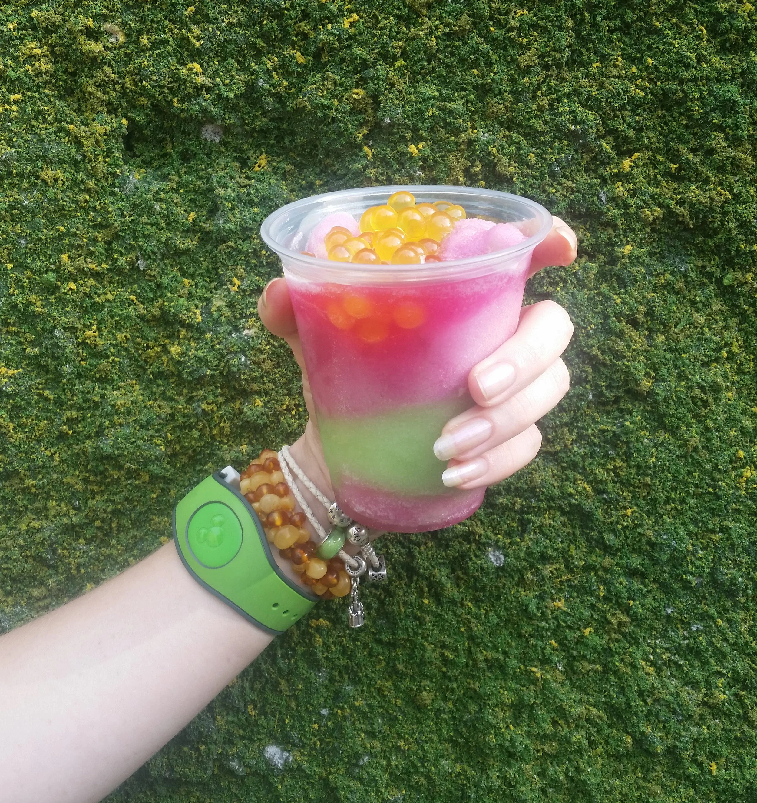 Boba Drink Disney World.jpg