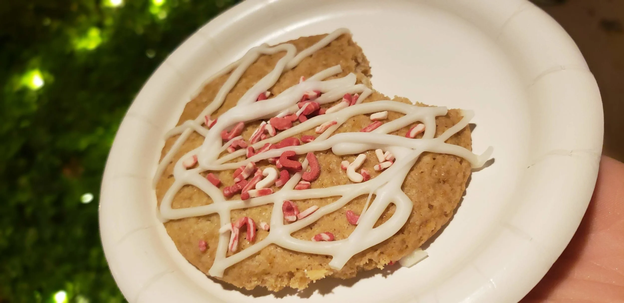 Epcot Cookie.jpg