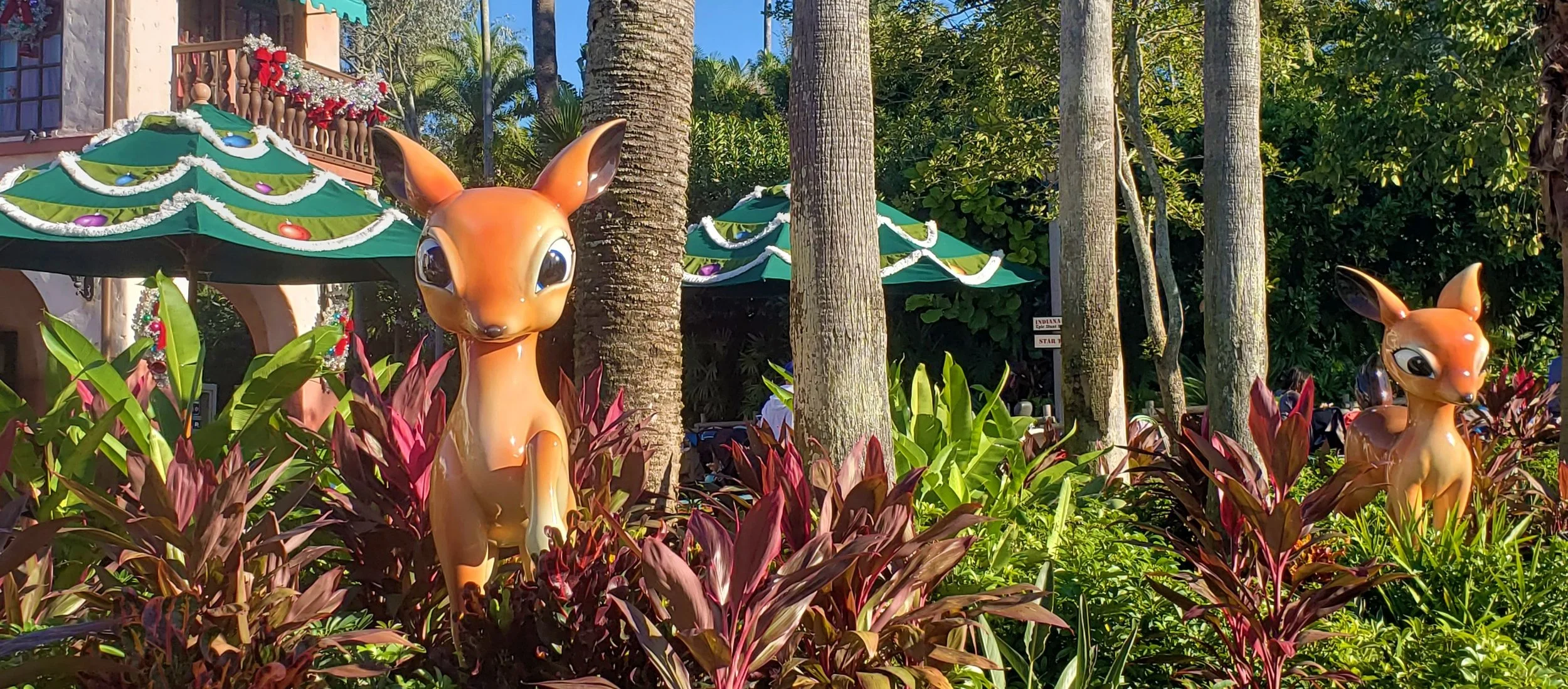 Hollywood Studios Reindeer.jpg