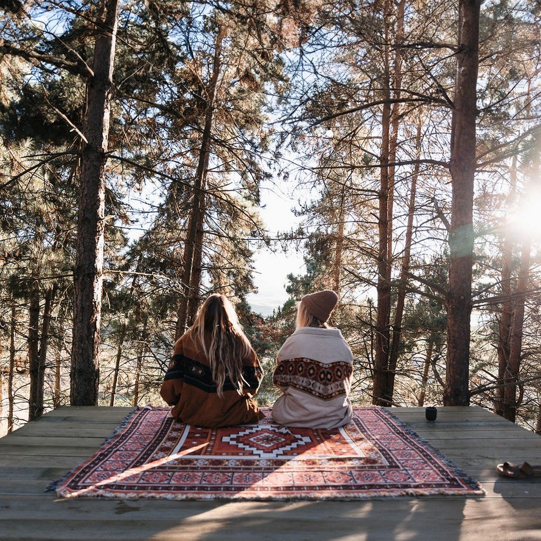 🌲 You &amp; me in a forest 🌲

#nesttreehouses #nzwinter #purenz #treehousenz #forestlove #youandmenz #nzescape #nztravel