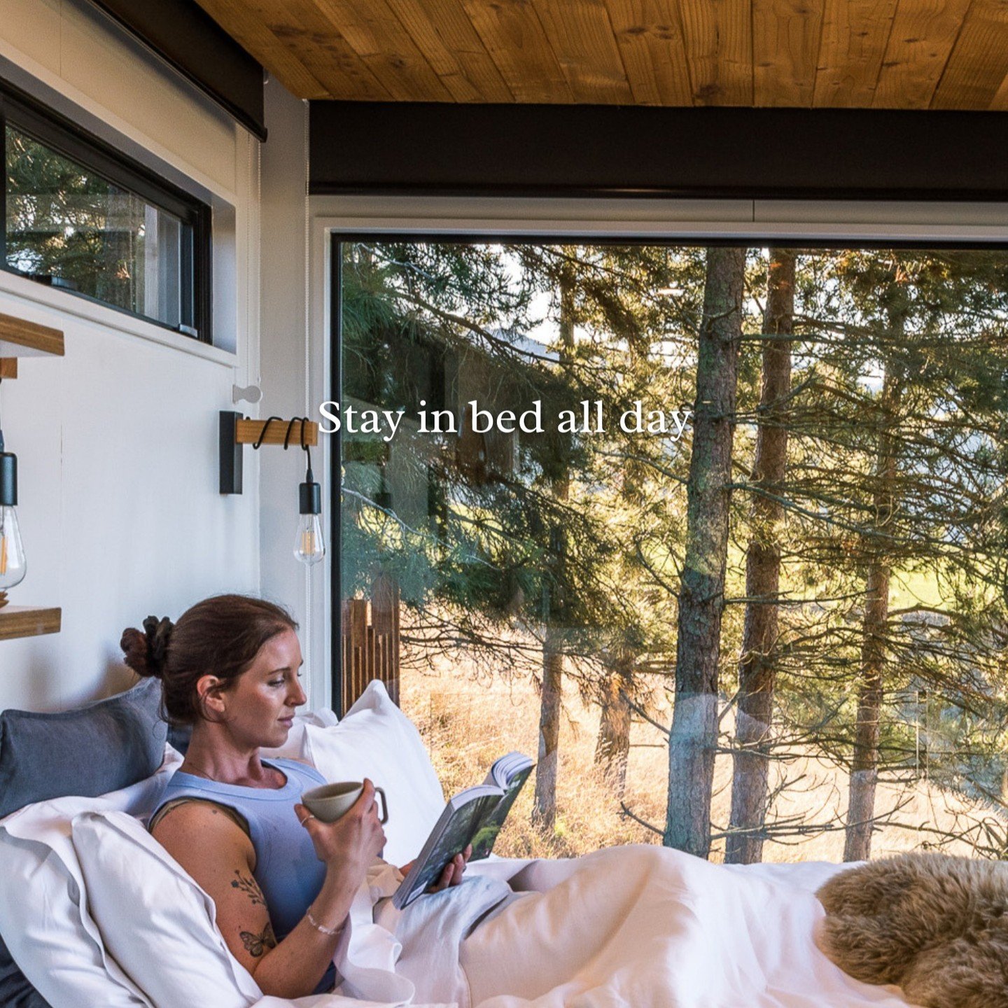 🌲 B L I S S 🌲

📷 @jesswardphoto

#nesttreehouses #blissfulmorning #morningnz #nztravel #icotraders #ozonecoffee #purenz