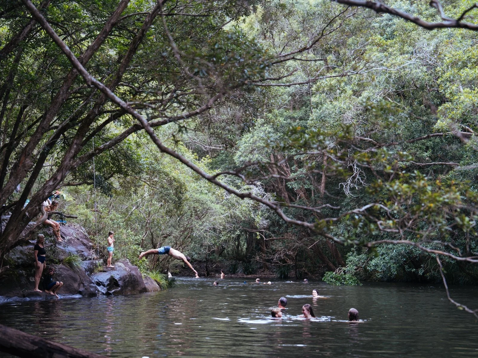 resized dive figtree pool.jpg