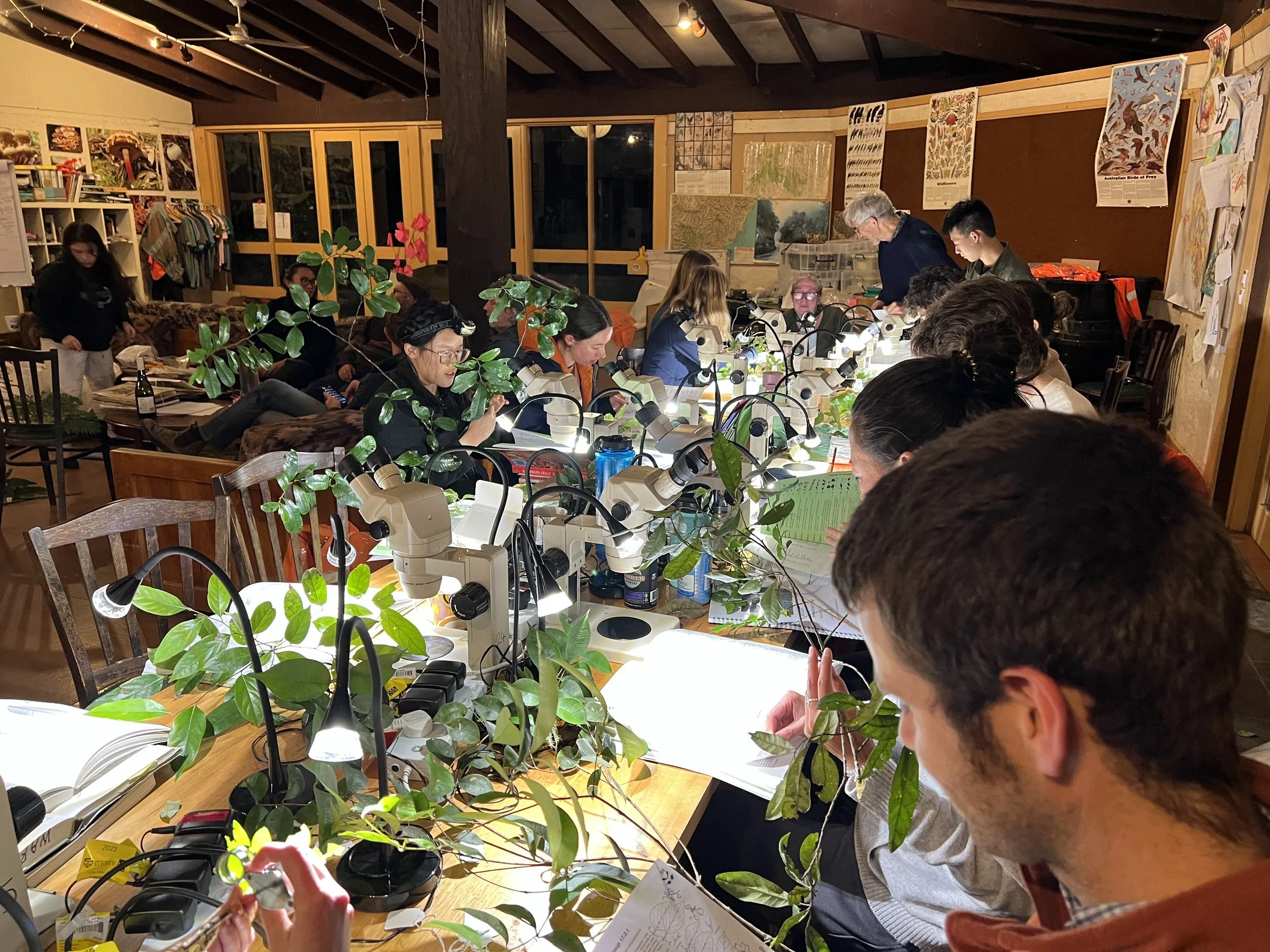 Sydney University, Ecology field trip