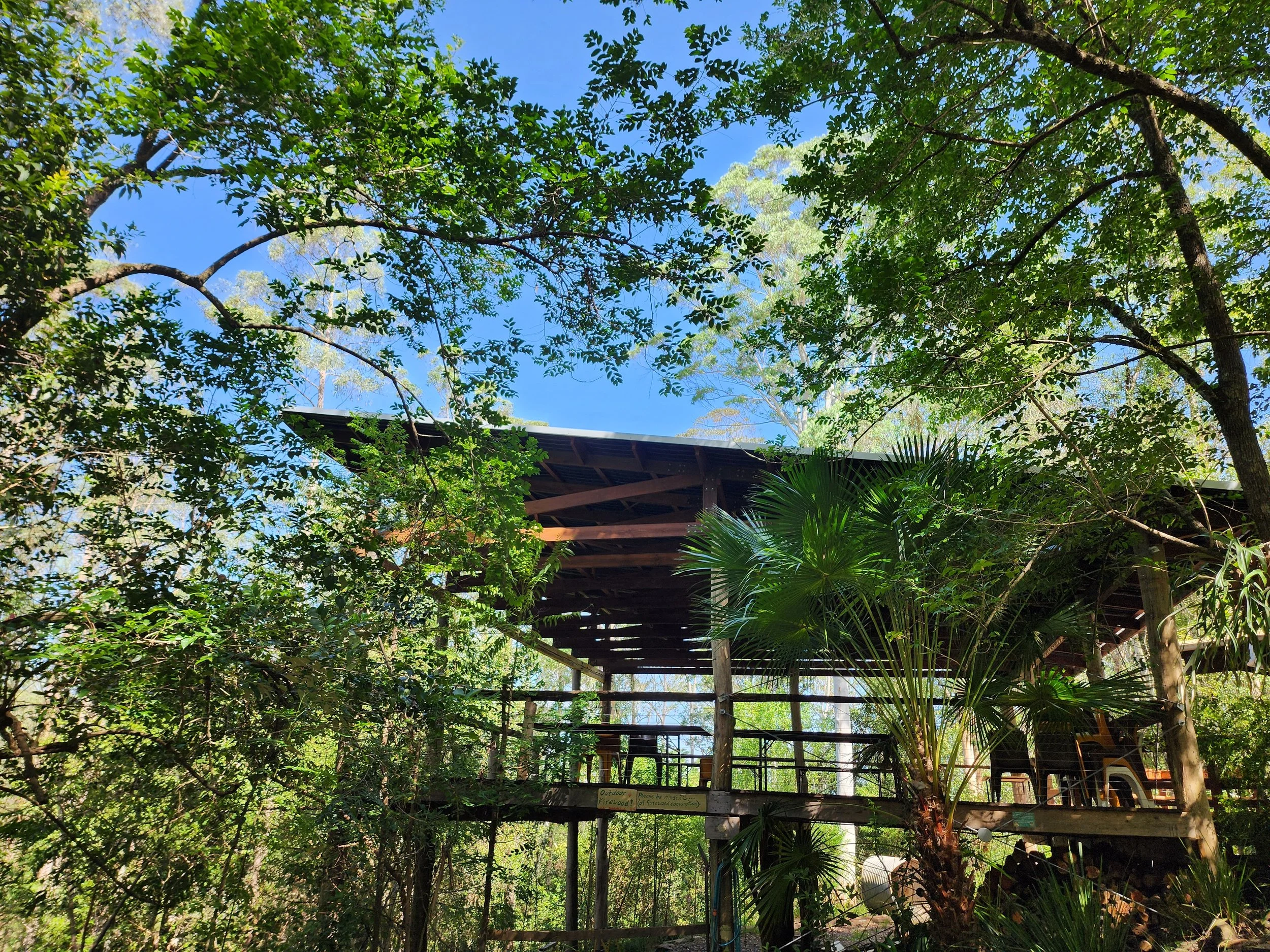 deck elevated in the treetops 