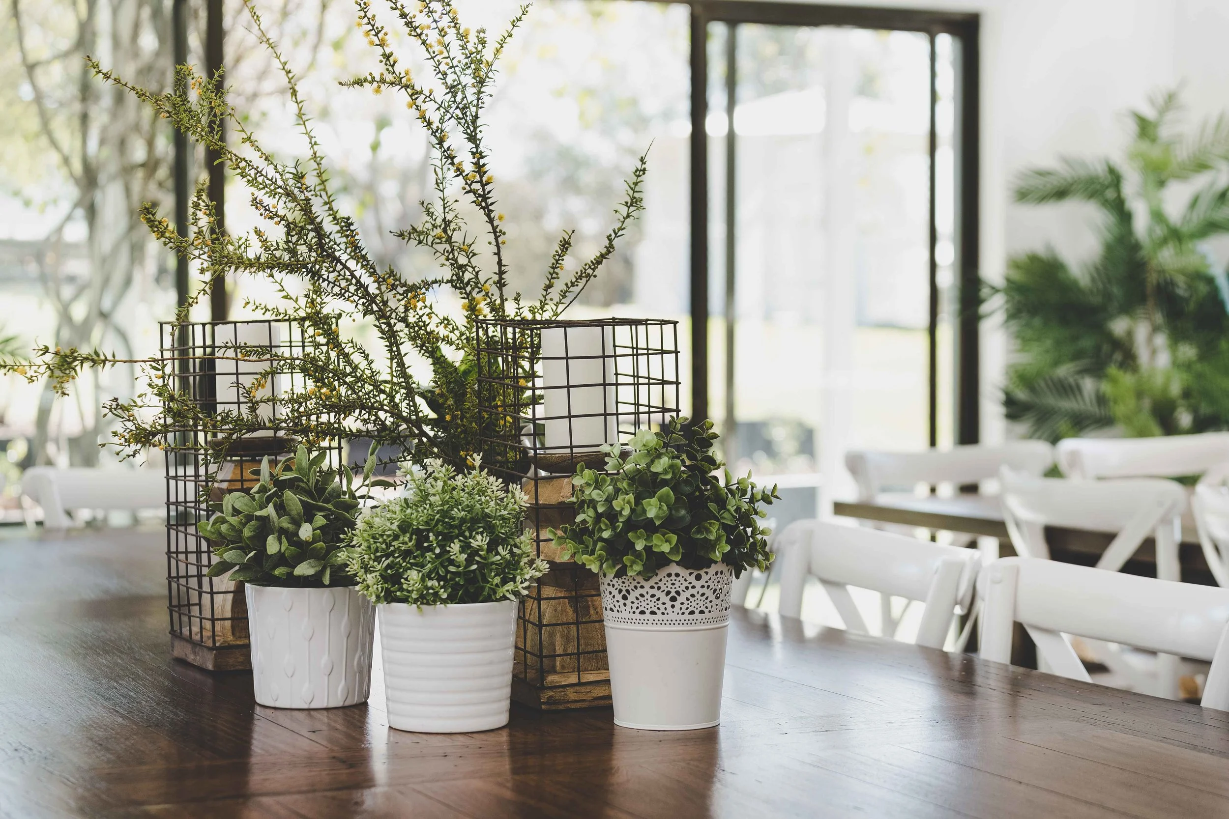 Gallery — Willow Tree Estate