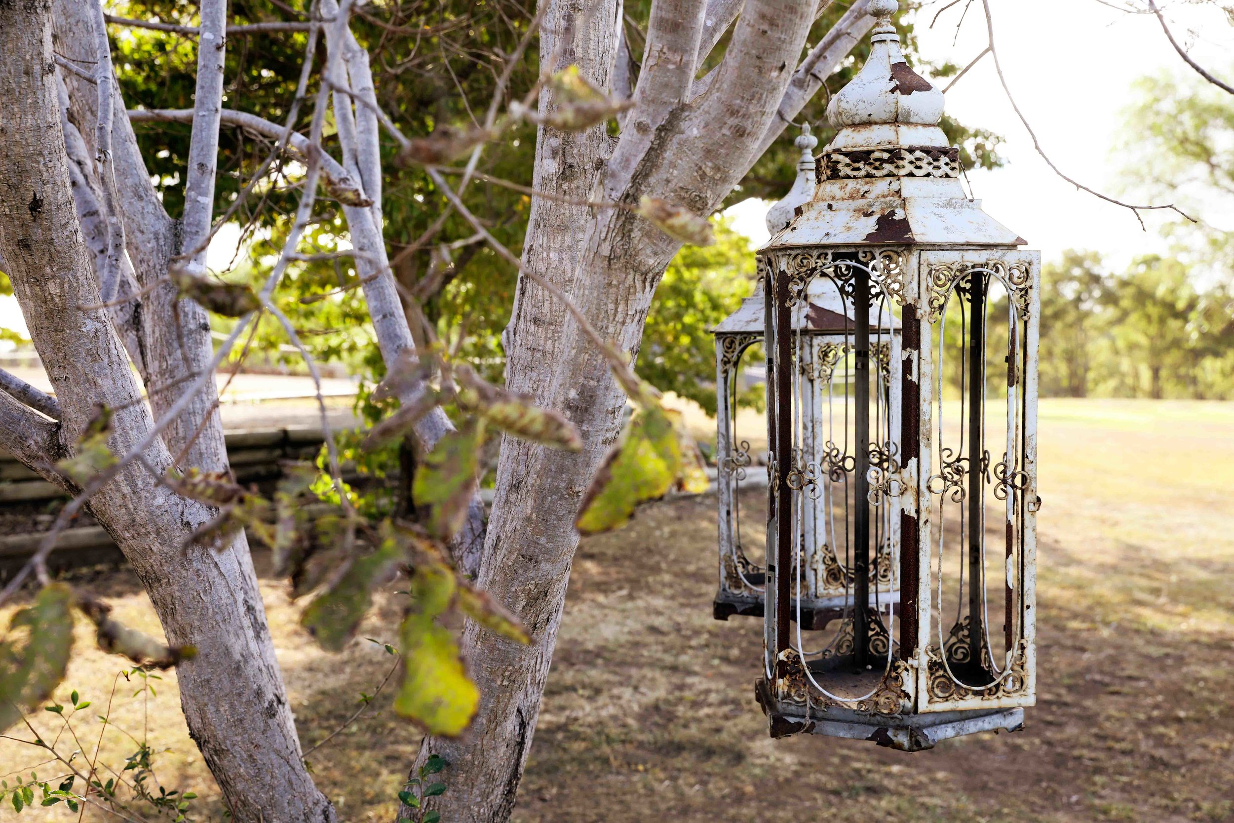 Gallery — Willow Tree Estate