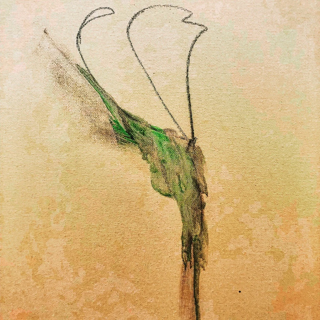 Todd Gutmann Studios email Todd.gutmann00@gmail.com. 