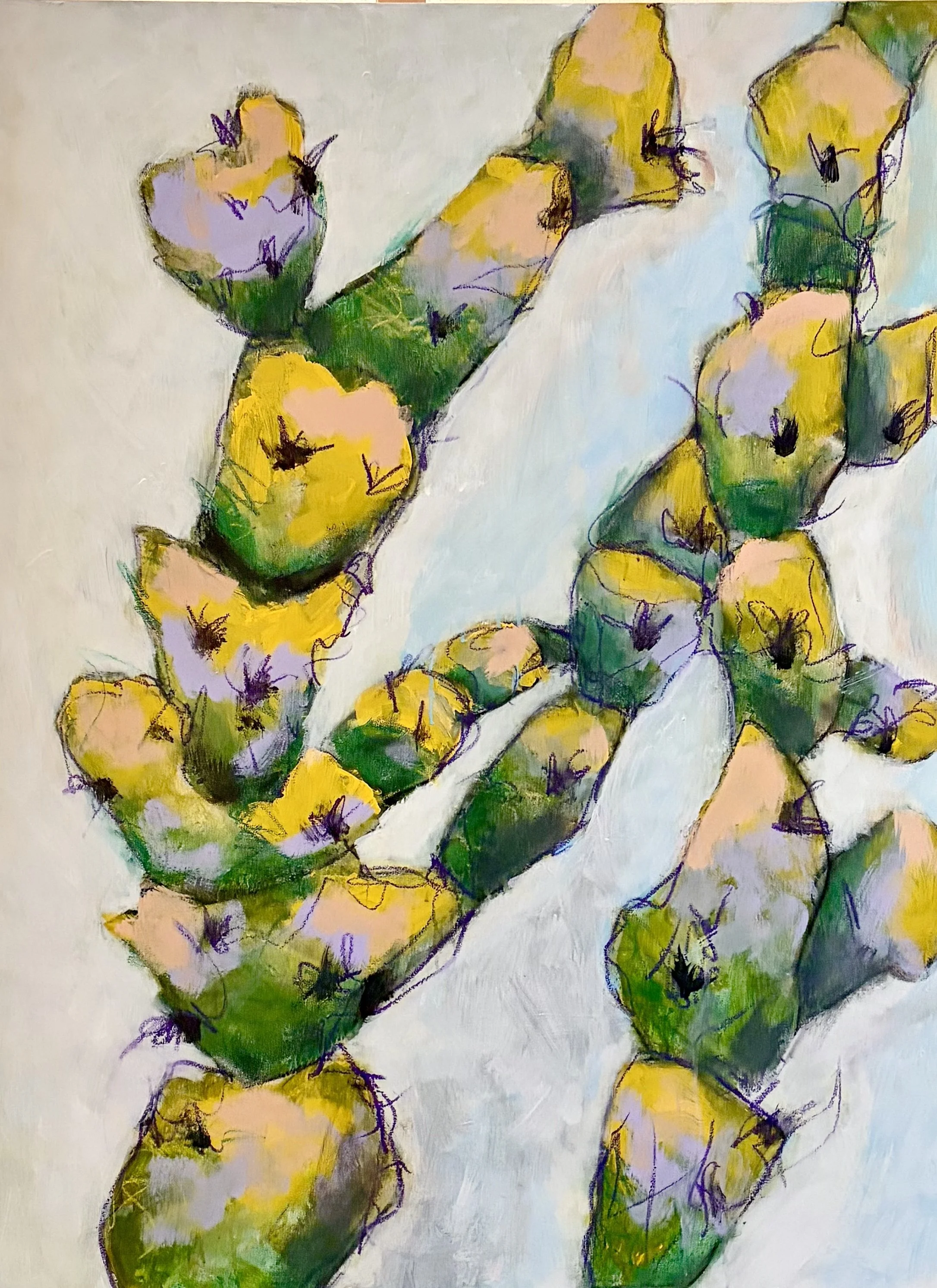 Cacti 27