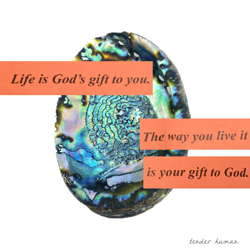 ABALONE-FORTUNES-15.jpg