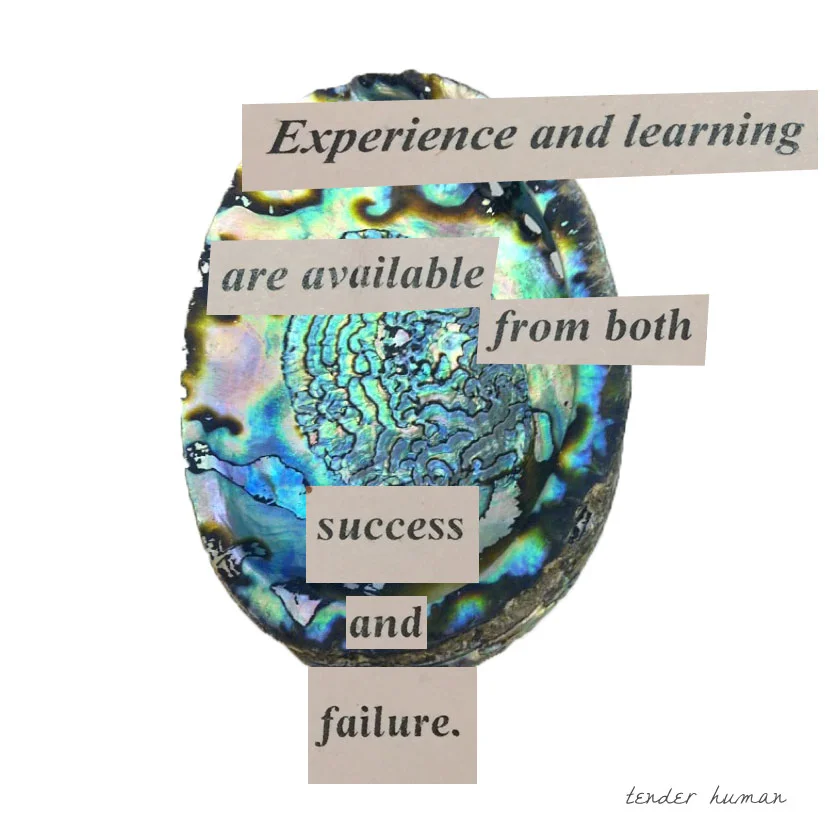 ABALONE-FORTUNES-19.jpg